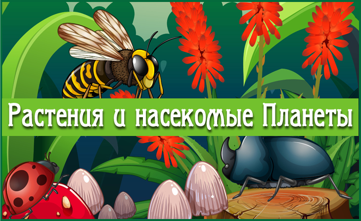 VII Международный творческий конкурс "Растения и насекомые Планеты"